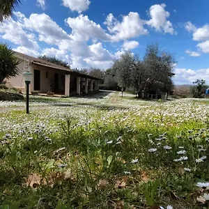 Bauernhof Bio Pian Dei Casali Saturnia